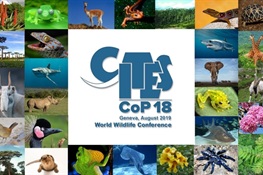 Concluding Statement from WCS on CITES CoP18